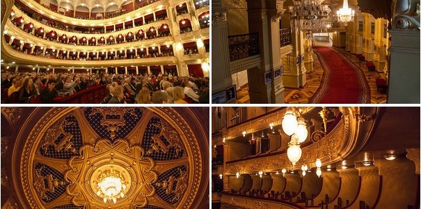  Экскурсия в Национальную оперу Украины + опера «Риголетто»