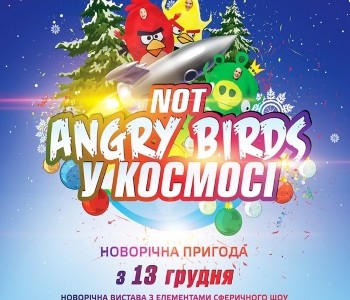 Новогоднее представление «Not Angry birds в Космосе» 