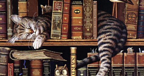 5 книг о животных, которые делают мир добрее