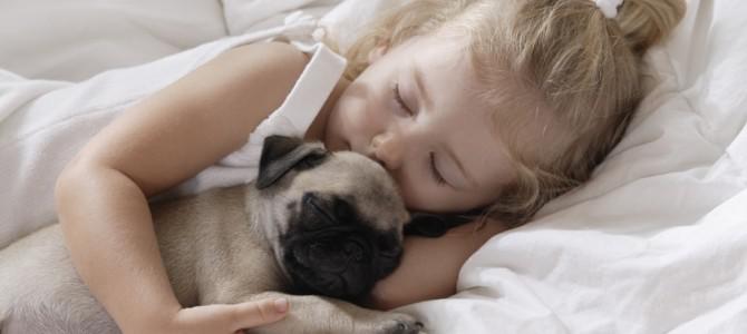 10 советов родителей, как уложить ребенка спать