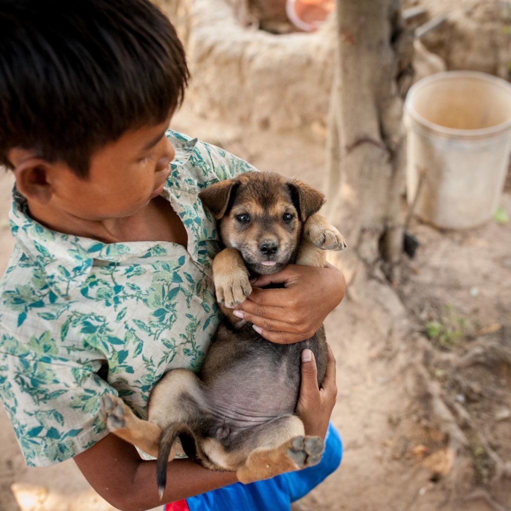 in-a-cambodian-home-living-on-463month-per-adult-the-favorite-toy-is-a-puppy