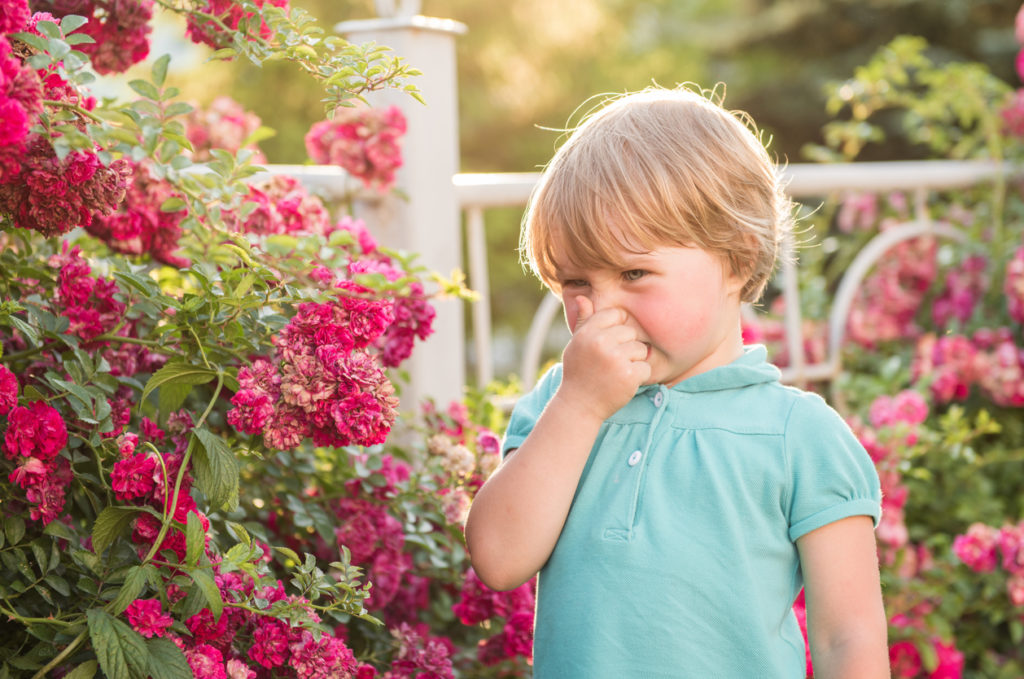 Почему ребенок рождается с аллергией