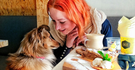 Куда пускают с котом и собакой: 30 pet-friendly мест Киева