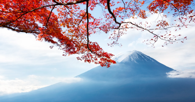 "Осенняя прозрачность": 7 причин посетить Японию в ноябре
