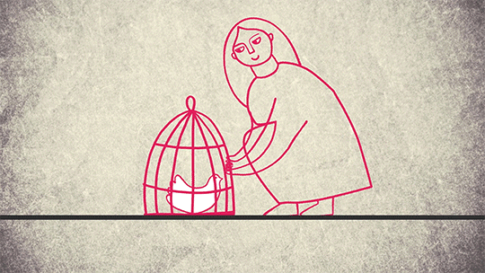Gender & Human rights: 11 анимационных лекций для детей