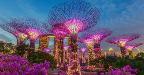 Едем в Сингапур: 4 места, которые обязательно нужно посетить с детьми