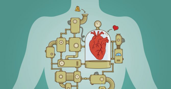 Под защитой: Как сохранить здоровье сердца