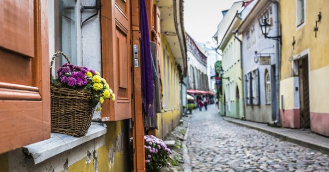 Welcome to Tallinn: 25 интересных мест, которые нужно посетить с детьми