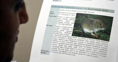 В Китае первая смерть от нового вируса