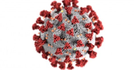 ВОЗ опровергли все мифы про коронавирус