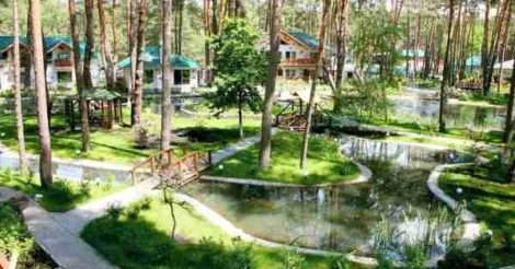 ТОП загородных комплексов в Киевской области для отдыха с детьми
