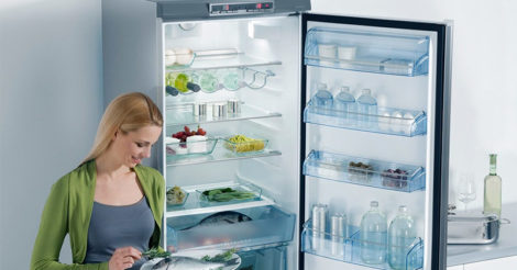 Советы по выбору холодильника с системой NoFrost