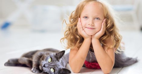Перший у світі корм, який зменшує рівень алергенів у котів: Purina PRO PLAN® LiveClear®