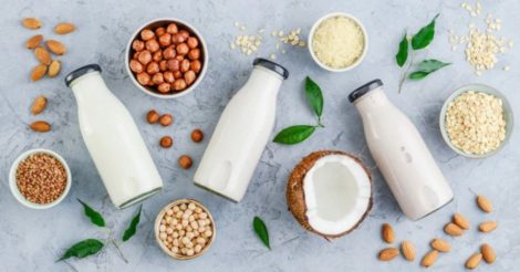 Почему стоит попробовать растительное молоко и как его сделать дома