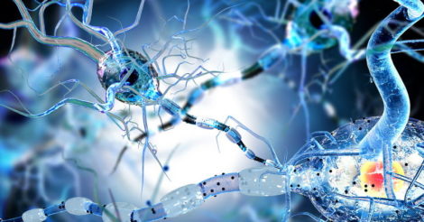 Вирусы могут способствовать нейродегенерации: результаты исследования
