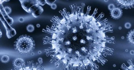 Во время пандемии коронавируса пропал один из самых распространенных штаммов гриппа: исследование