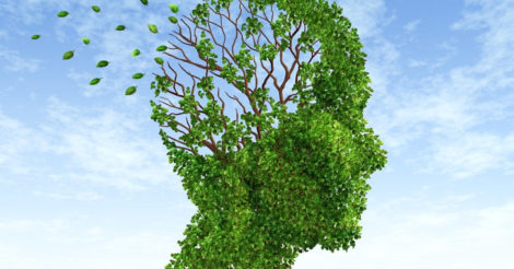 Ученые обнаружили причину прогрессирования болезни Альцгеймера