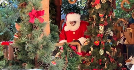 В американском "Диснейленде" появится темнокожий Санта Клаус: это впервые