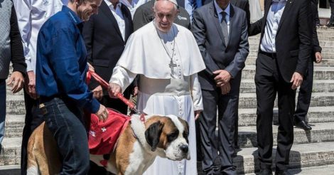 Папа Римский осудил людей, которые заводят животных, а не детей