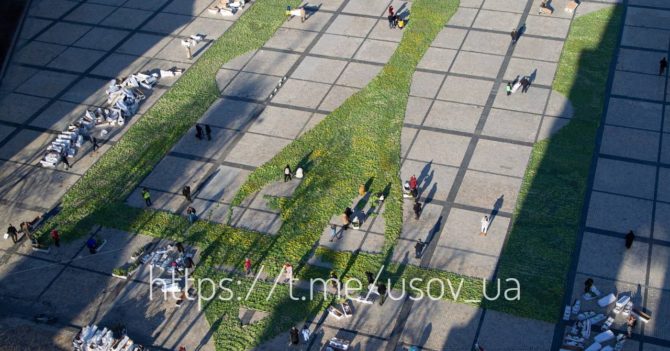 На Софійській площі виклали величезний герб із тюльпанів