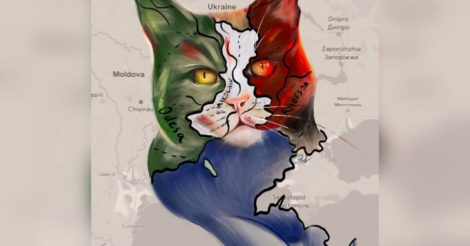 Одеська художниця зобразила південного котика