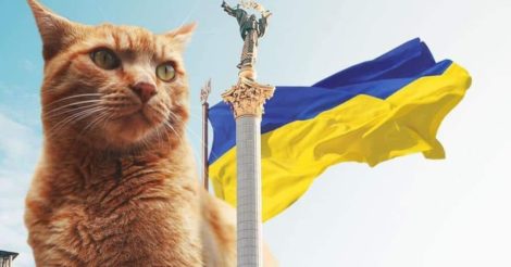 UAnimals опублікував ролик, на якому тварини виконали гімн України