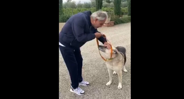 Всесвітньо відомий тенор Андреа Бочеллі прихистив собаку Джека, врятованого з Куп’янська