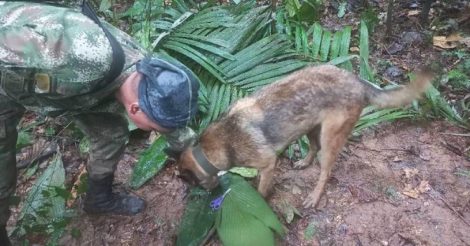 Два тижні у джунглях Колумбії: знайшли чотирьох дітей, які вижили після авіакатастрофи