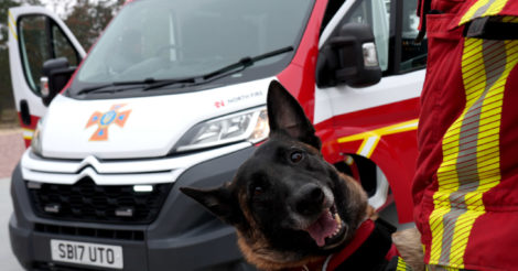 Собаки-рятувальники кінологічної служби, які шукають людей під завалами, отримали новий спеціалізований транспортний засіб