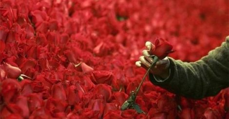 Ніко Піросмані: мільйон червоних троянд для Маргарити
