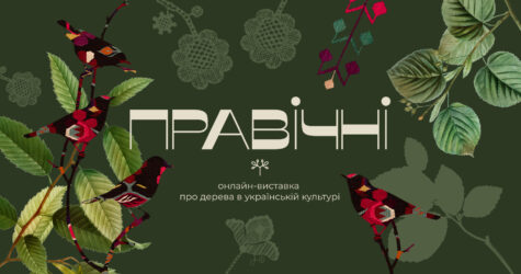 «Правічні»: виставка про ліси мовою культури й памʼяті