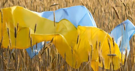 Цього вікенду в Києві: куди піти 23–24 серпня