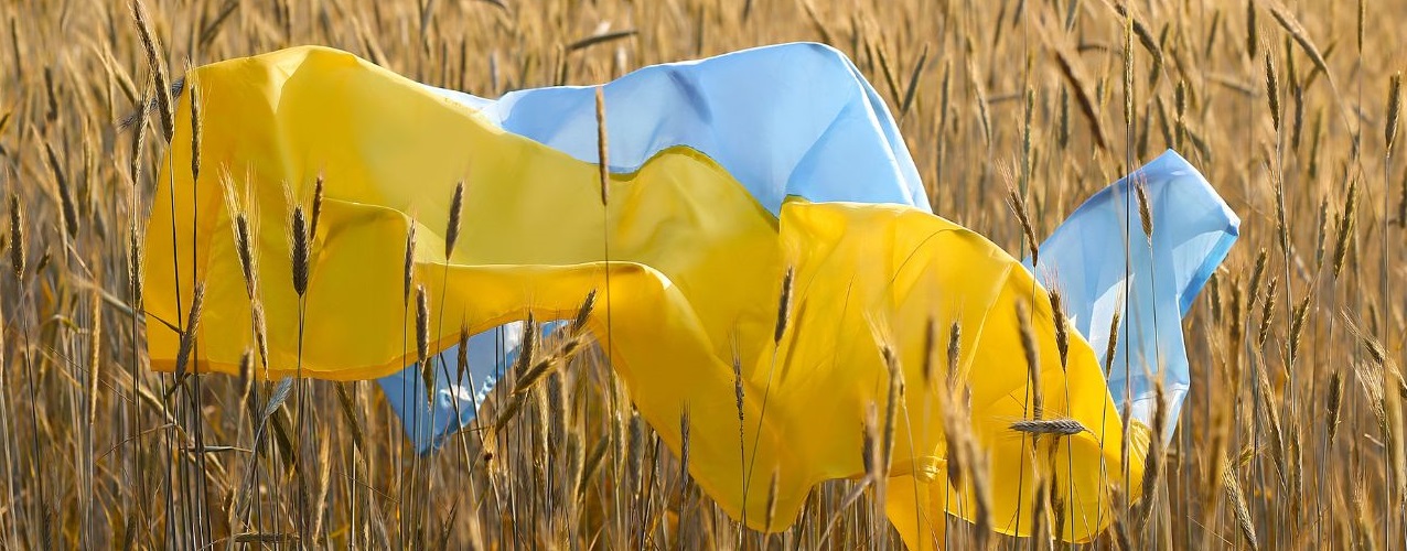 Цього вікенду в Києві: куди піти 23–24 серпня
