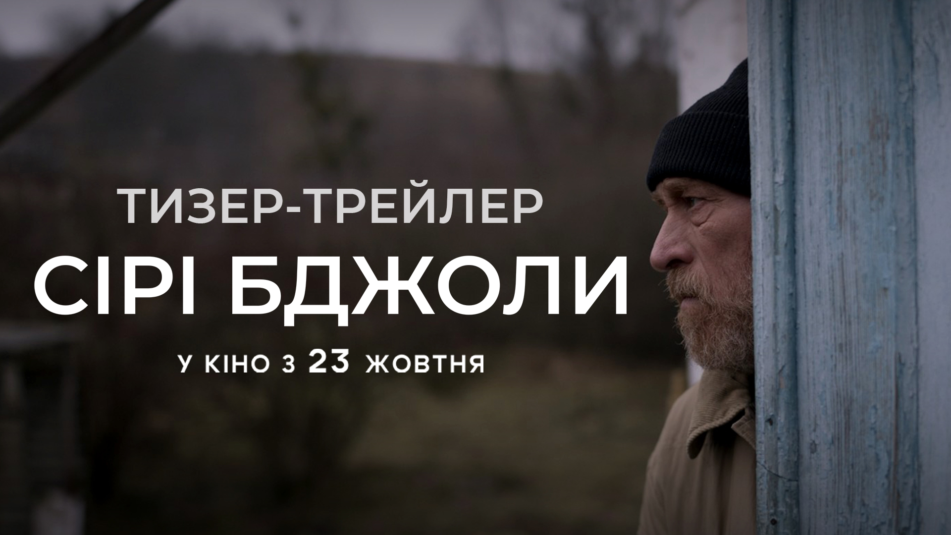 Сірі бджоли