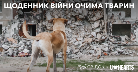 Svidok.org та U-Hearts збирають докази злочинів проти тварин: історії можуть стати підґрунтям для визнання екоциду