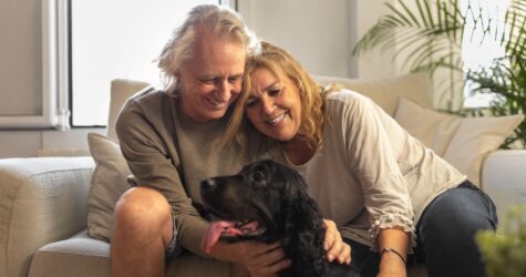 Як собаки-терапевти знижують тривожність у літніх пацієнтів: результати дослідження