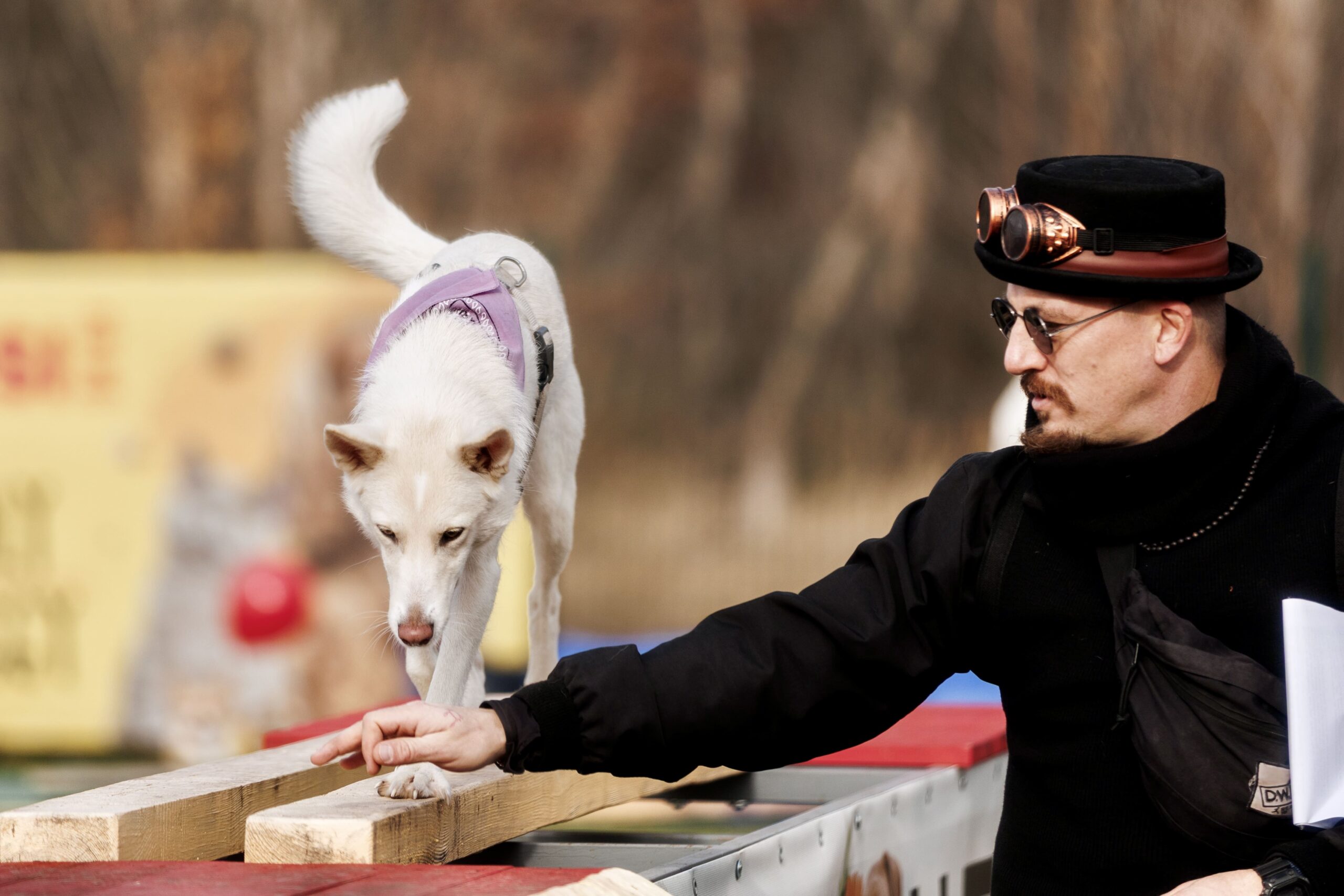 благодійний пікнік