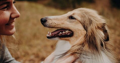 Як домашні тварини підтримують психічне здоров’я людини: чотири науково обґрунтовані факти