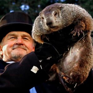 Як День бабака перетворився на глобальний культурний феномен