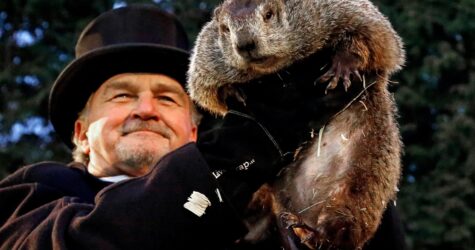 Як День бабака перетворився на глобальний культурний феномен