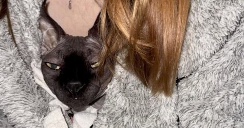 «Поруч»: UAnimals випустили відео про тепло людей і тварин у найтемнішу зиму війни