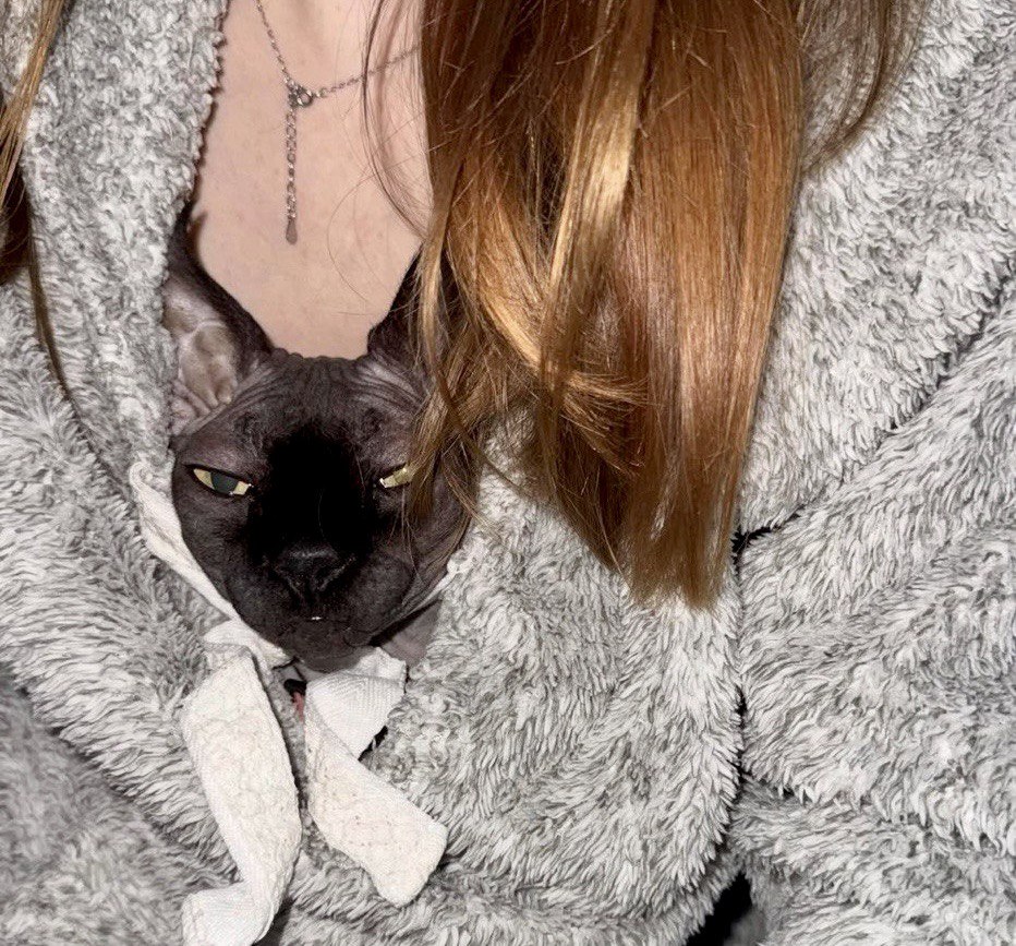 «Поруч»: UAnimals випустили відео про тепло людей і тварин у найтемнішу зиму війни