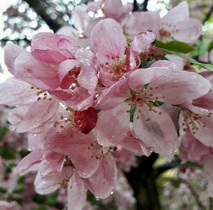 Фото: Оксана Хромова