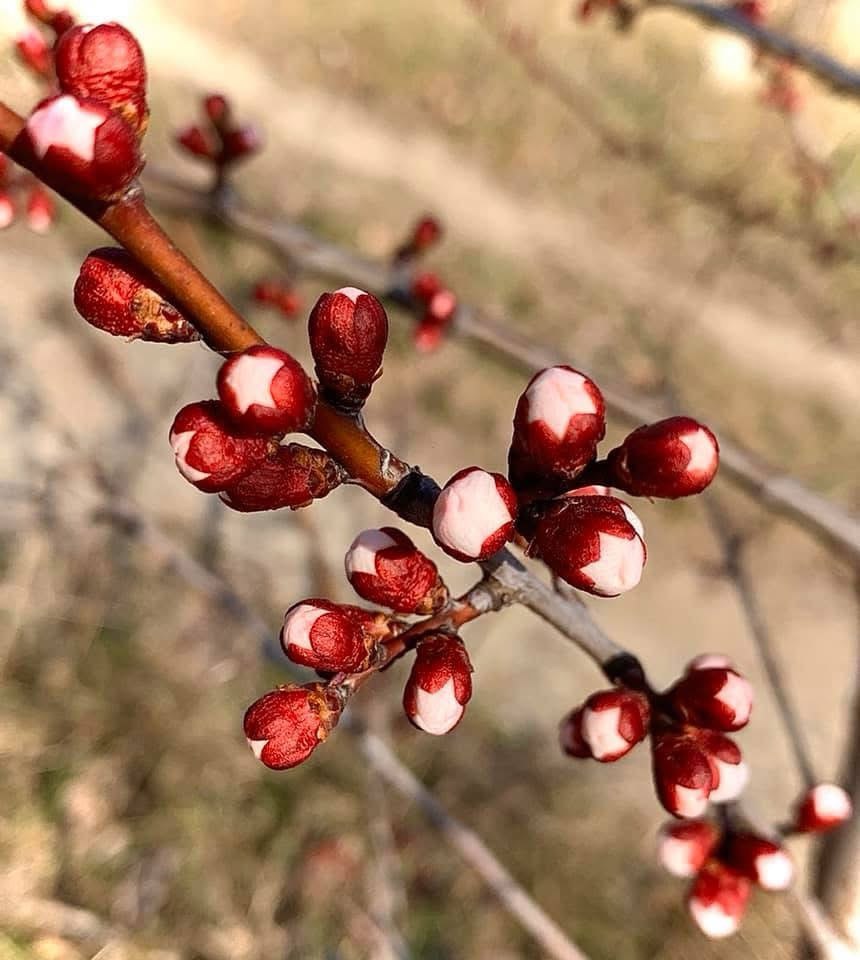Весняне рівнодення