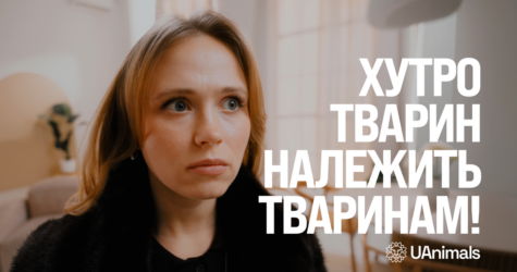 Українські зірки Анна Кошмал і Раміл Насіров закликали відмовитися від натурального хутра