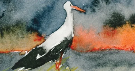 Українська ілюстраторка Маргарита Вінклер перемогла в міжнародному конкурсі