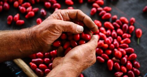 «Ми стоїмо серед попелу. Але не на колінах»: у Запоріжжі обстріл знову зруйнував ветеранське підприємство Famberry