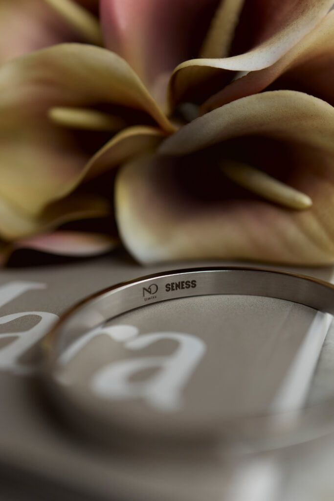 Ломикамінь