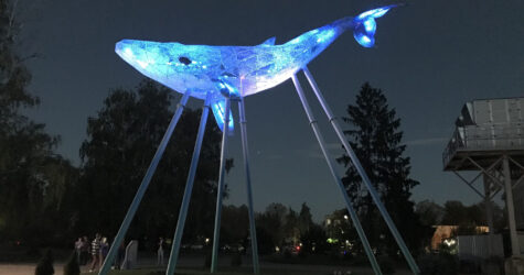 Київський Кит знову засяє на ВДНГ: арт-інсталяція привертає увагу до проблеми води в Україні