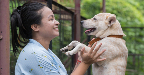 Підтримка громад і ветеринарної допомоги: Mars створює фонд із багаторічним фінансуванням